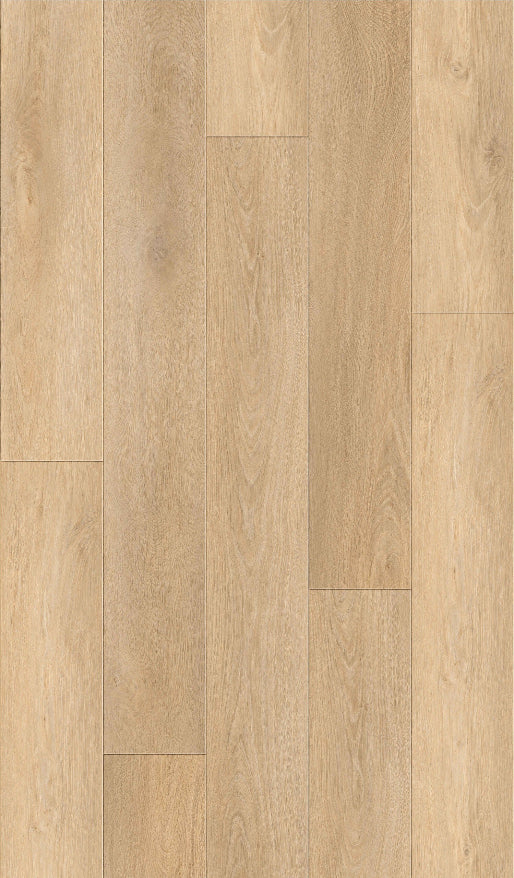 SPC Flooring - Sabbatia Elm